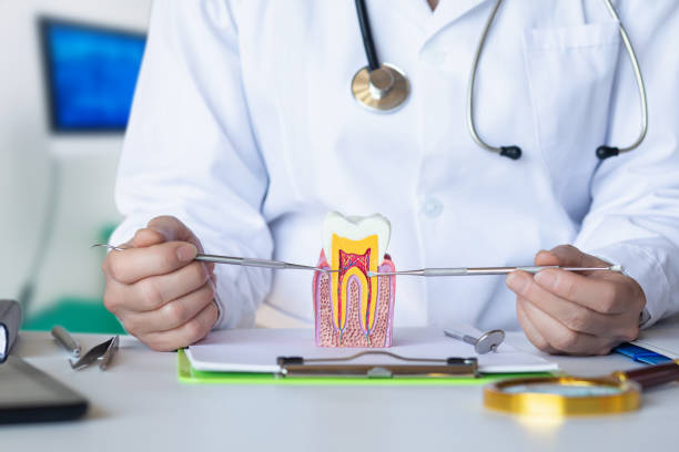 Best Emergency Dentist for Knocked-Out Tooth in La Presa, CA